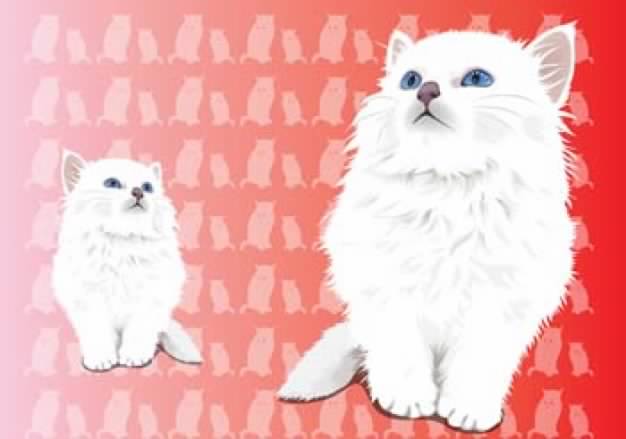 two white Cats looking up over red background