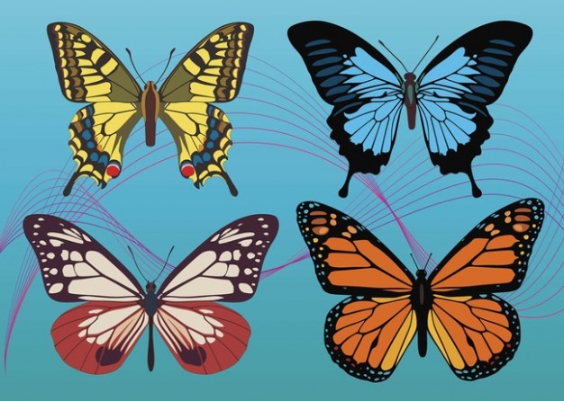 four Colorful Butterfly with blue background