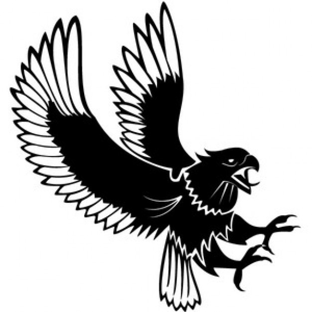 Attacking Eagle  with white background