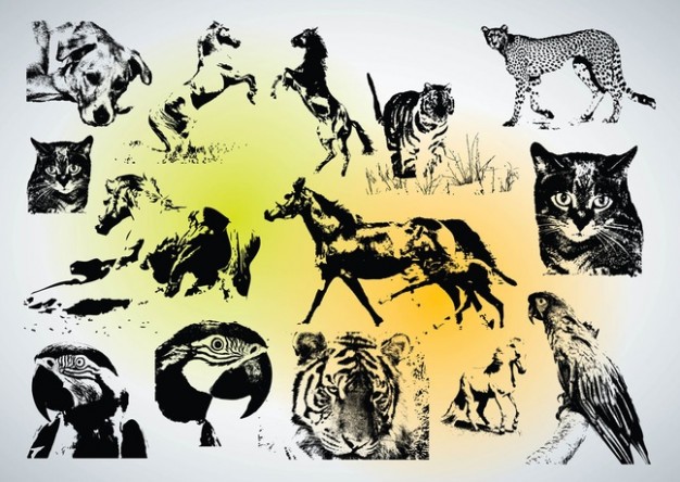 wildlife animal Animal Vectors with eagle cat tiger leopard etc