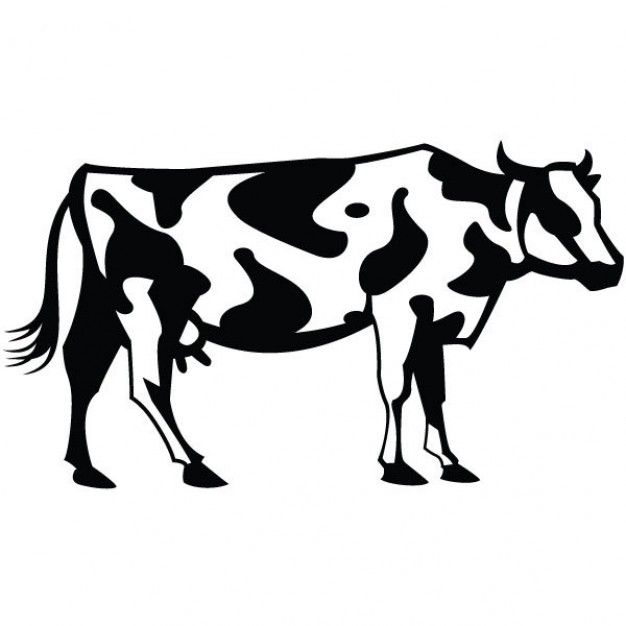 contrasting milk cow outline with white background
