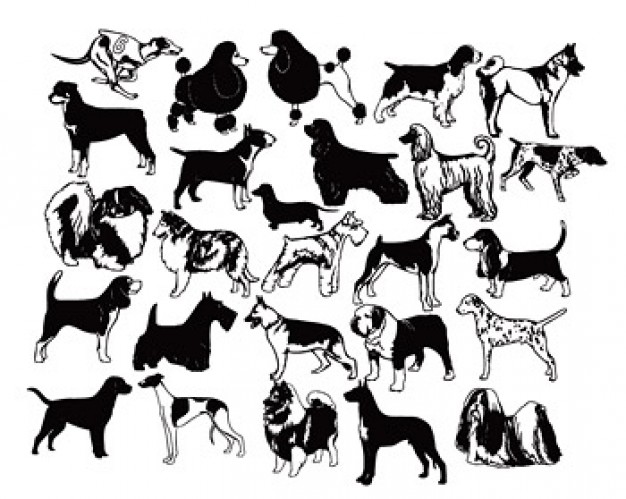 A variety of black and white dog material