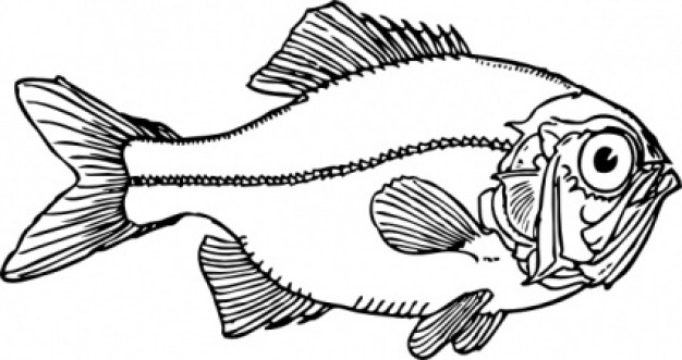 ugly fish side view clip art with White background