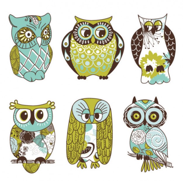 cartoon illustration vector with different kind of owl