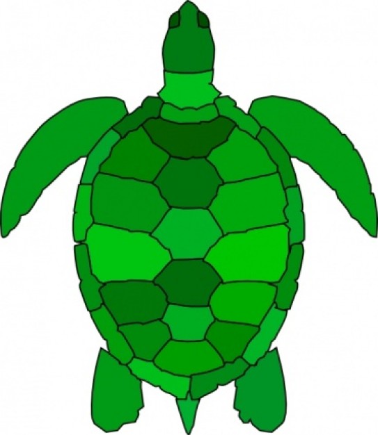 green Turtle top view clip art