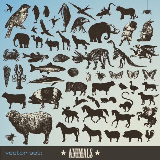 variety of animal icons material pack like bird tiger giraffe etc