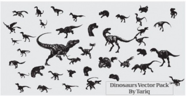 variety of dinosaurs dragon Animals