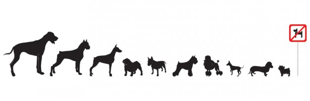 variety of Dogs silhouette Vector