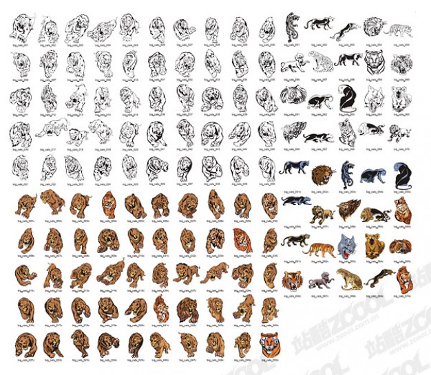 variety of Feline beast animals like tiger vector material