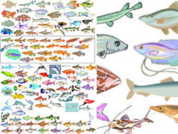 variety of fish Vector pattern in zoom out