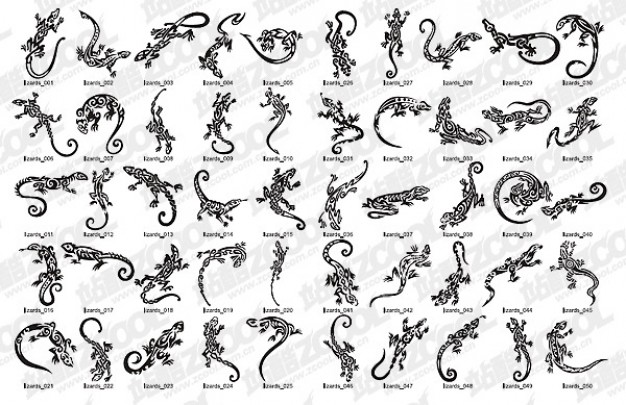 variety of Gecko Vector material in elegant style