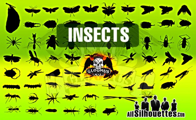 variety of Insects Vector over green background
