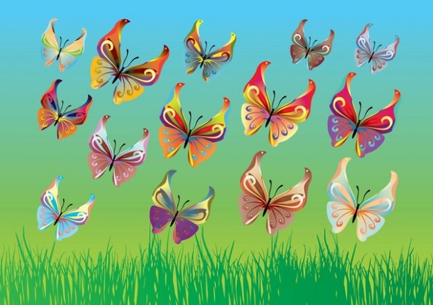 vector colorful butterflies flying over grassland in Spring day