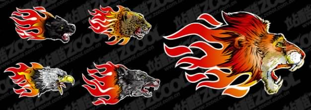 Cool flame animals tiger picture material