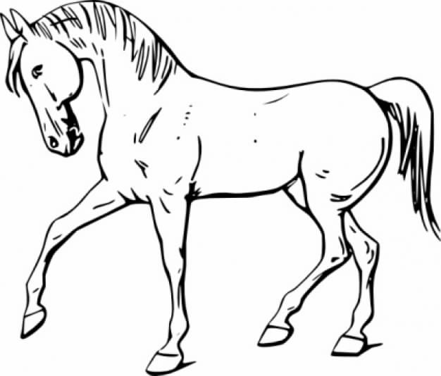 Walking Horse clip art Outline