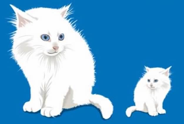 white Cats over blue background