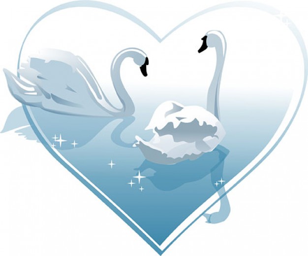 White Swan swimming in Heart-shaped vector material