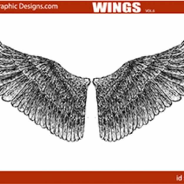 wings style drawn by hand