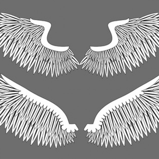 wings tattoo Illustrator design vector in black and white