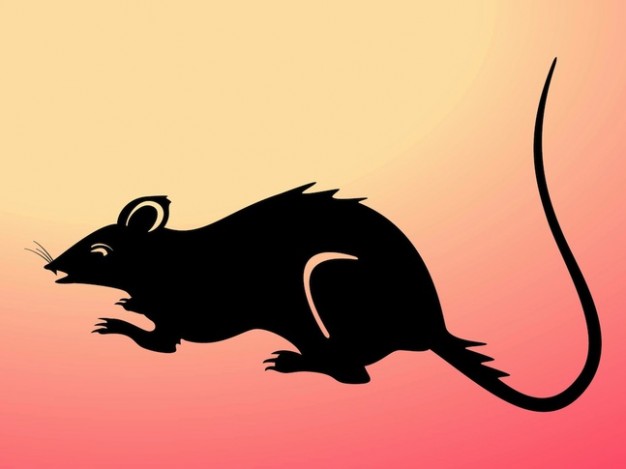 Dirty rat nature silhouette with pink background