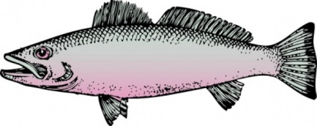 Colored fish with pink maw clip art