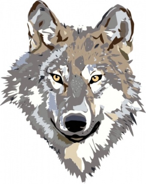 Wolf head in front view clip art