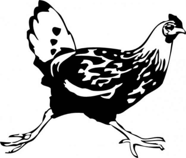 Running Chicken clip art in side view