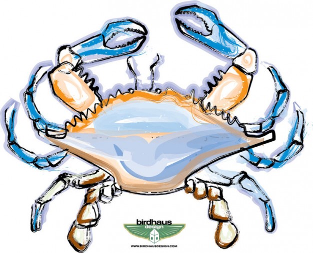 colour Crab with blue pincers