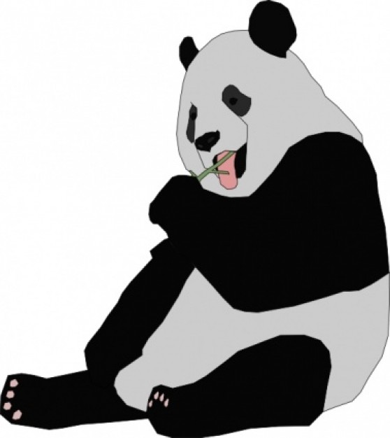 panda sitting eating a branch