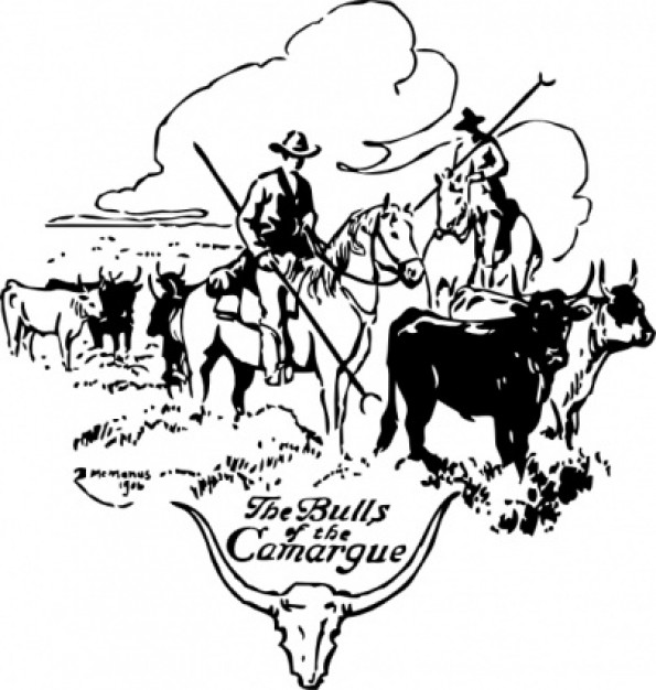 Bulls and cowboy Of Camargue clip art