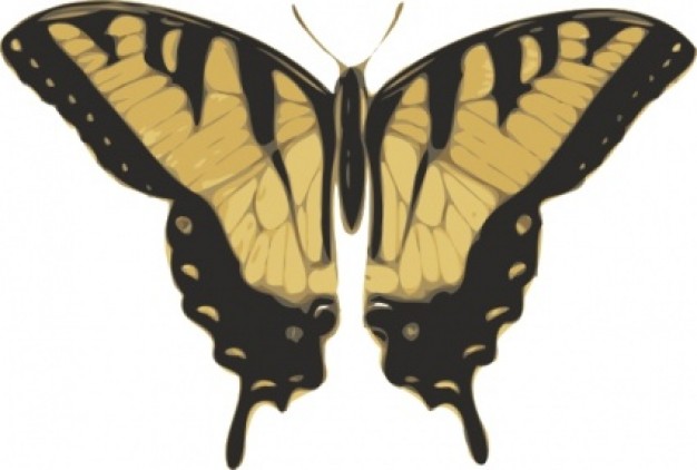 Top View of Butterfly clip art