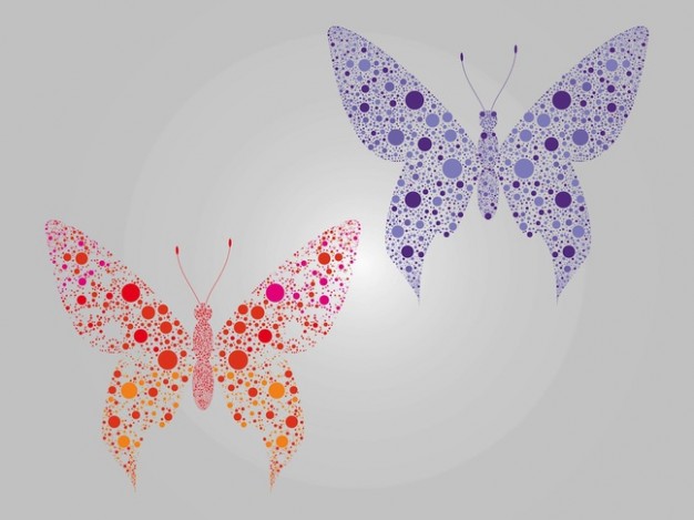 Colorful butterflies with gray background