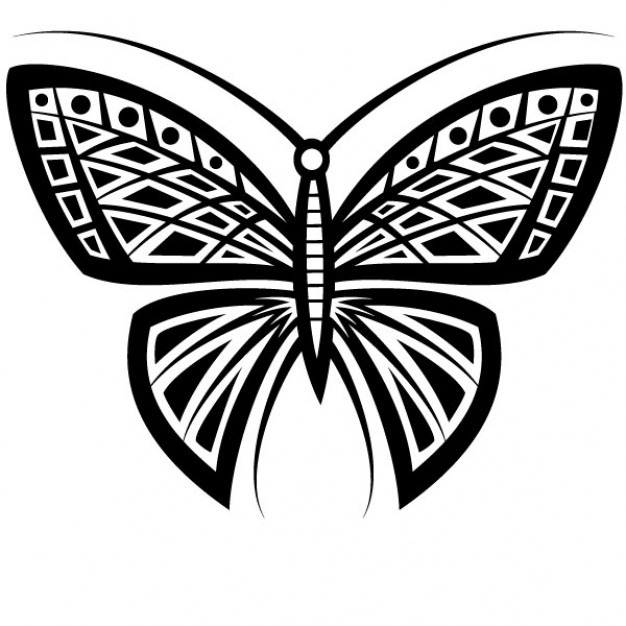 Butterfly tattoo tribal design with white background