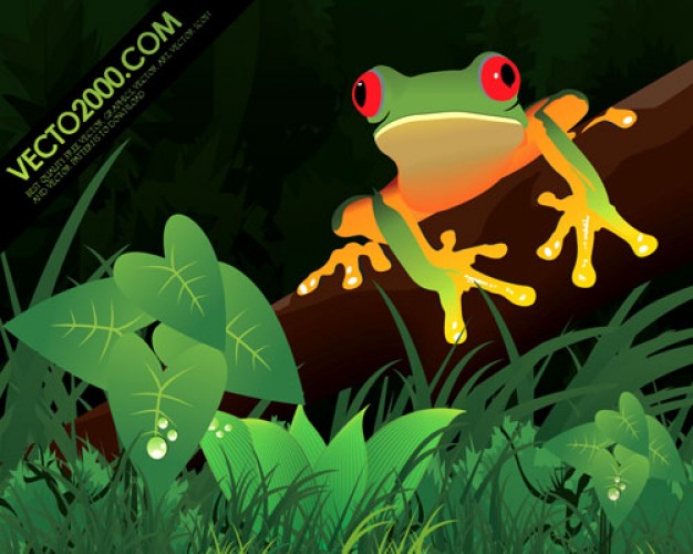 lighting frog in a jungle Illustration