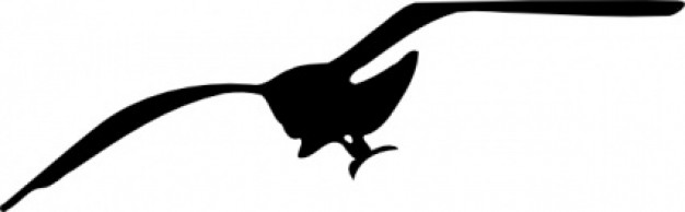 Seagull Contour flying clip art
