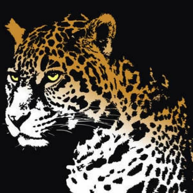 Jaguar with black background