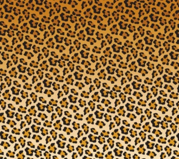 Leopard spots pattern for T-shirt design