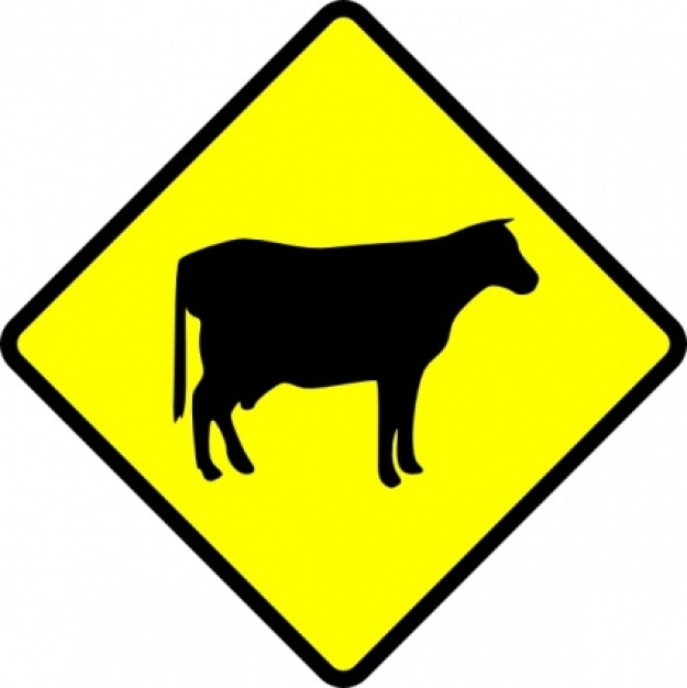 wild animal bull sign with yellow background