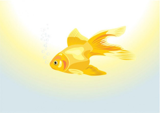 yellow golden fish swimming over sun light