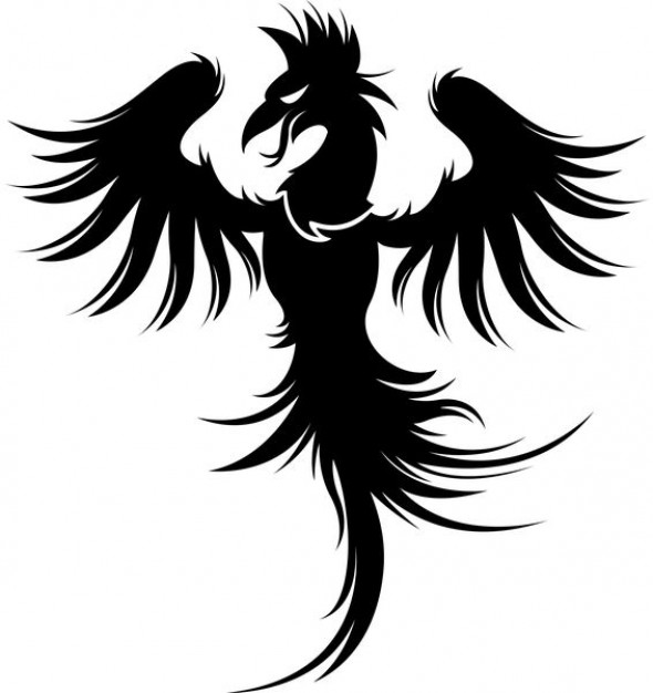 phoenix dragon vector for logo design