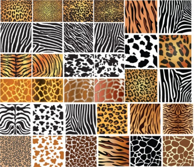 Animals skin pattens like tiger - Set of 34 wild textures