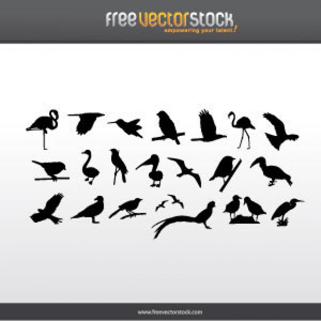 Collection Of Birds Silhouettes with gray background