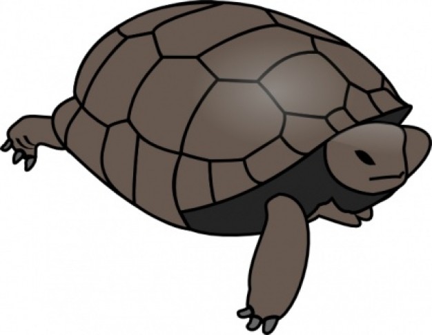 Brown turtle crawling clip art