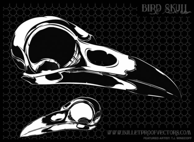 Free Bird Skull with black grids