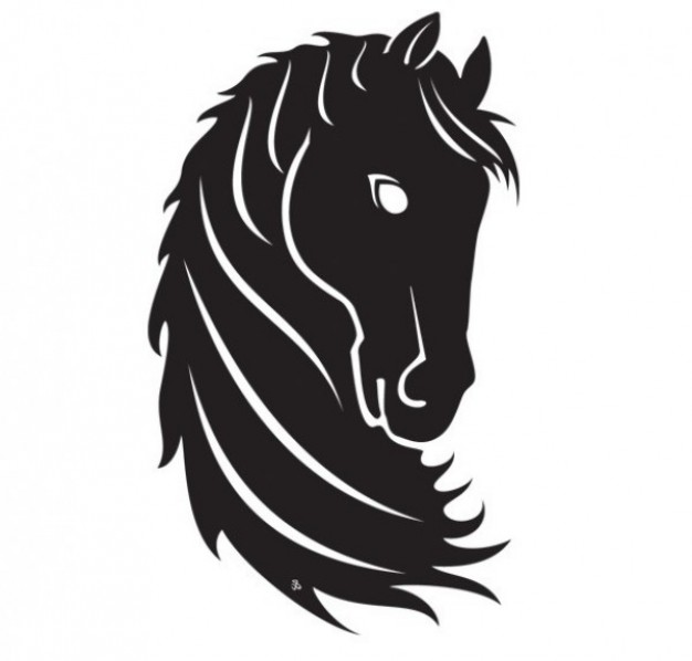 Proud black horse pack with white background