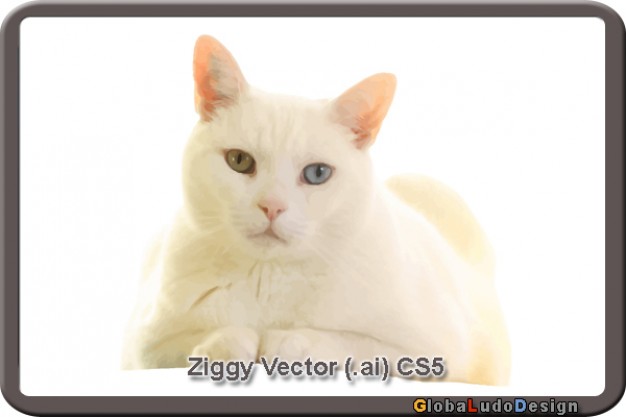 ziggy cat looking at you vector in white frame