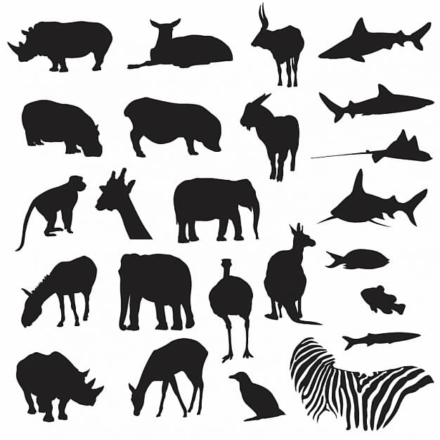 zoo animal silhouette for your personal or commercial design