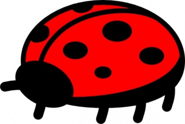 Peterm Ladybug clip art in side view