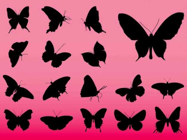 butterflies silhouettes with different flying pose