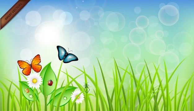 Lawn buterflies Butterfly on grass illustration about Garden Biology